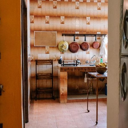 Sunshine House - Made By Artists Villa Oaxaca ภายนอก รูปภาพ
